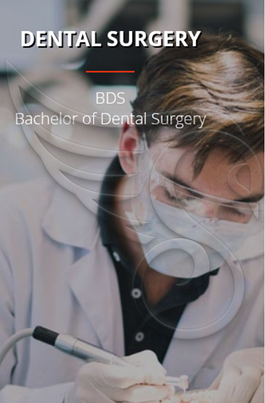 مدرک لیسانس جراحی دندان Bachelor of Dental Surgery