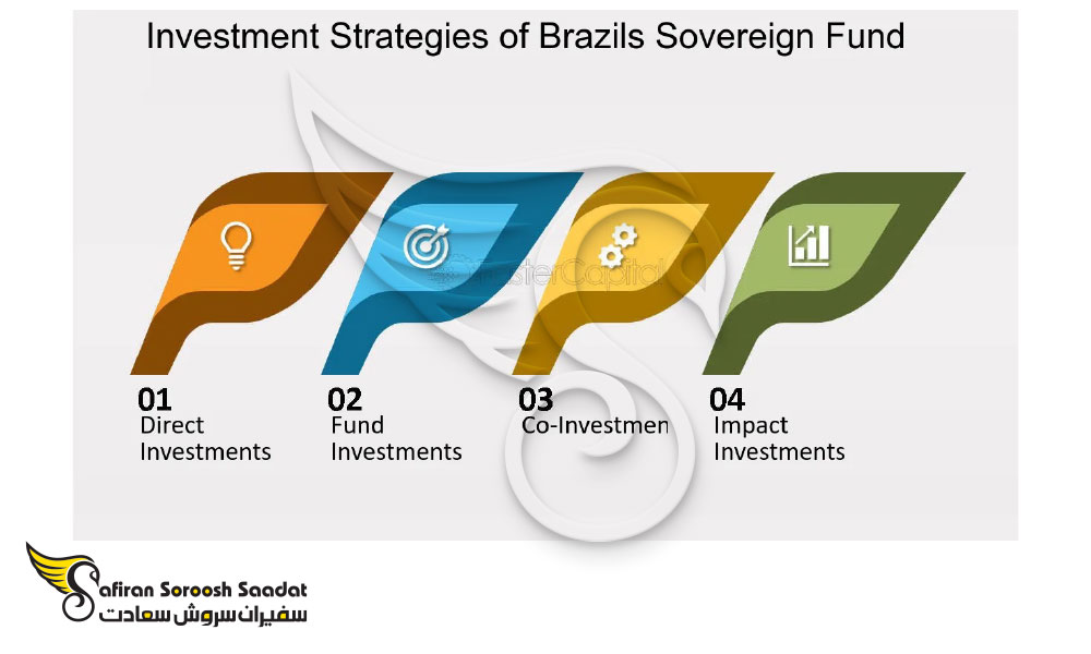 روش های سرمایه گذاری در برزیل