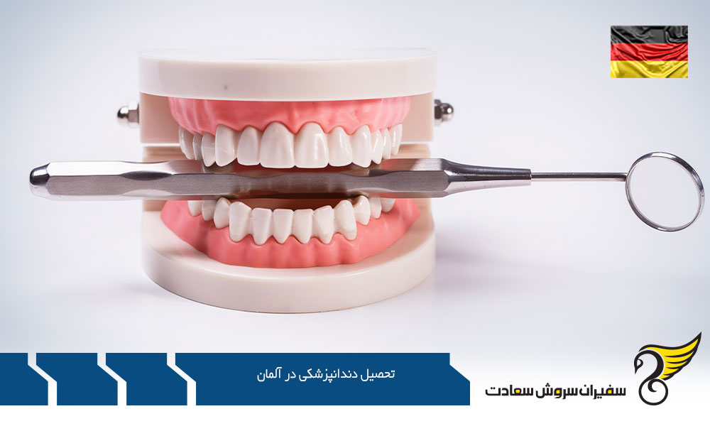 مدارک لازم برای اخذ پذیرش تحصیل دندانپزشکی در آلمان