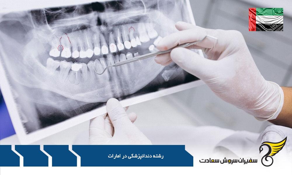 آموزش دندانپزشکی در دبی