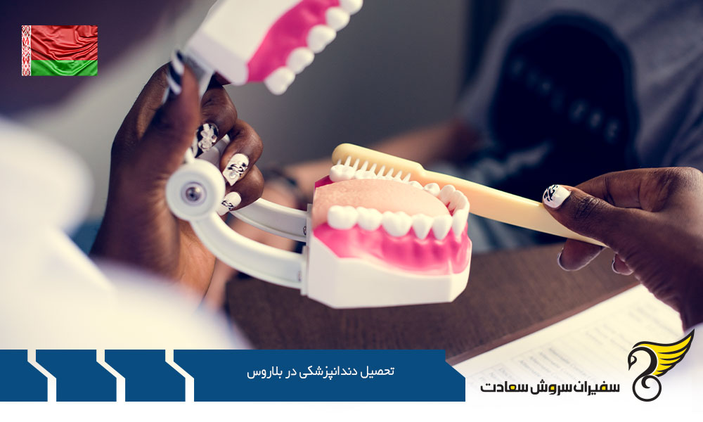 هزینه تحصیل دندانپزشکی در بلاروس