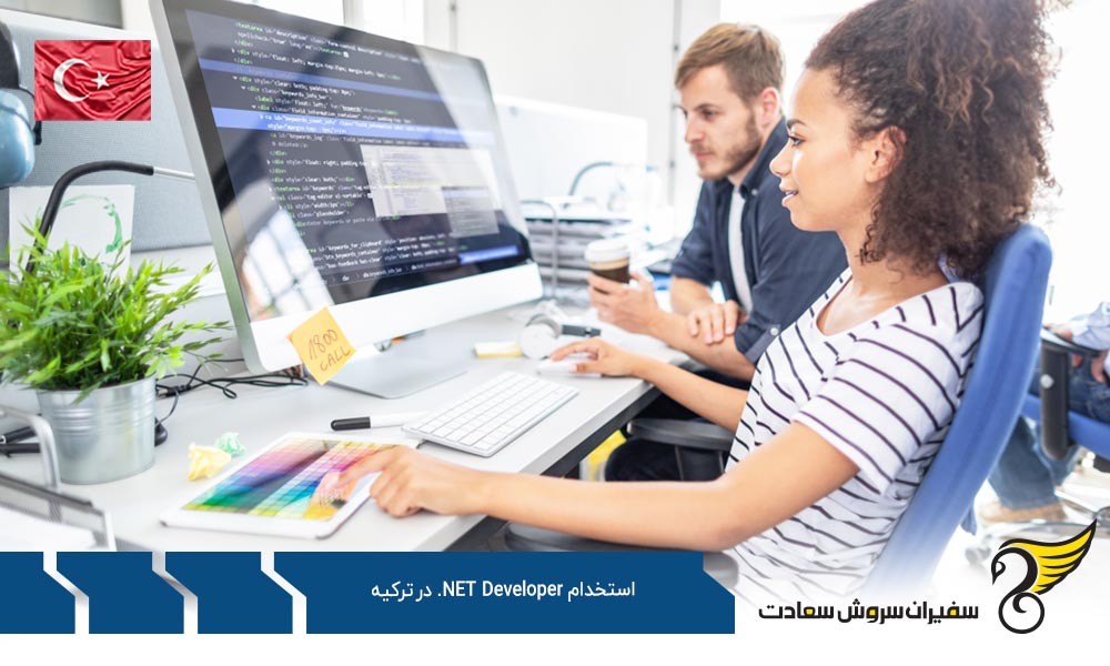 وظایف و مسئولیت های متخصص NET Developer. در ترکیه