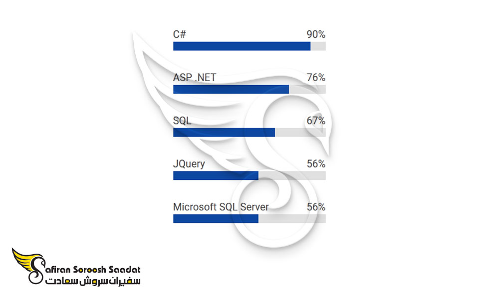 کاربردی ترین مهارت های متخصصان NET Developer. در نروژ